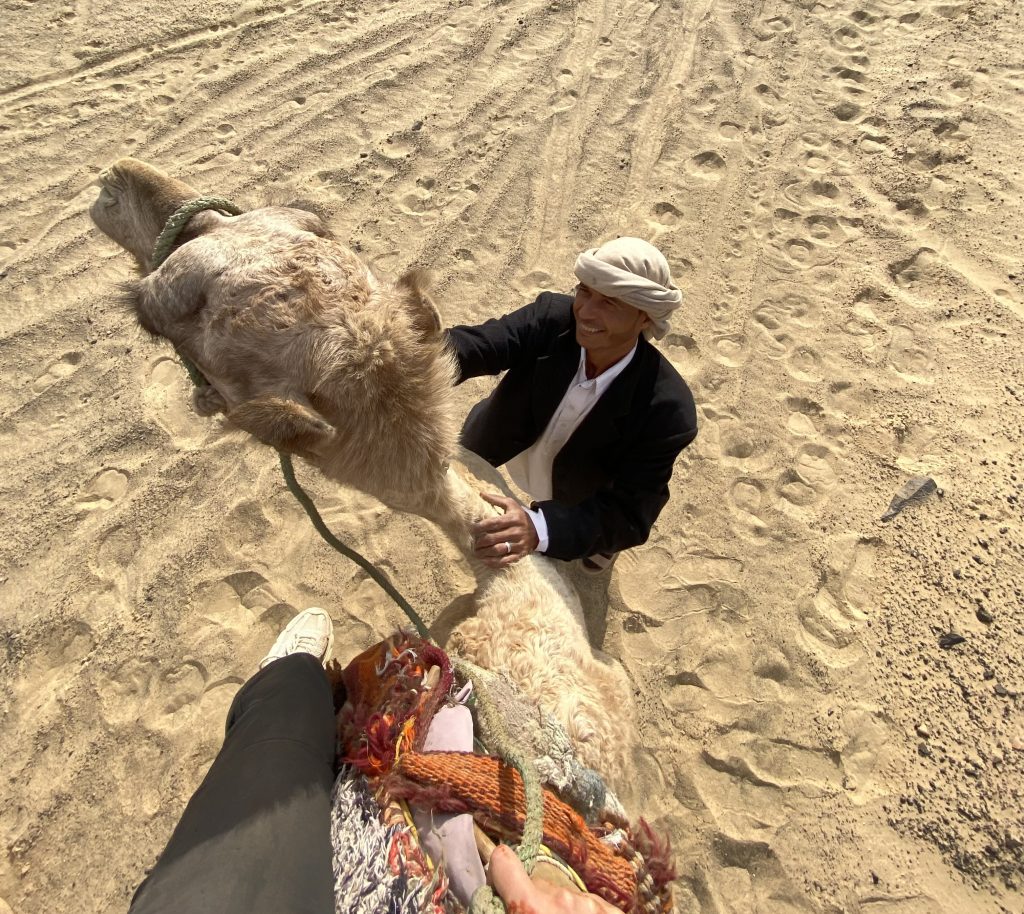 Camel Tours
