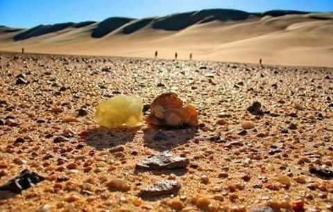 Silica Stones In The Great Sand Sea