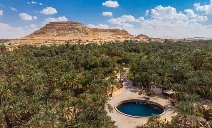 Cleopatra’s Spring In Siwa Oasis