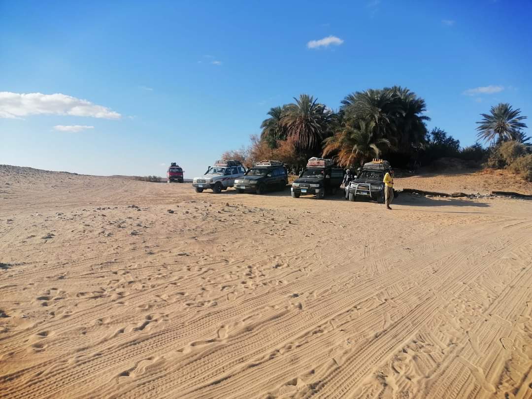 Egypt Adventure: White Desert (Western Desert) Camping & Siwa Oasis Tour