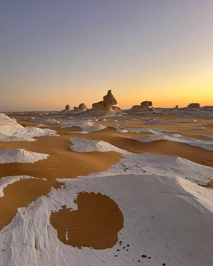 Waves Valley In White Desert